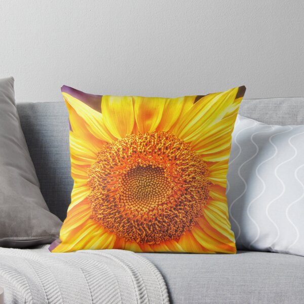 Item preview, Sunburn designed and sold by Jim Love.