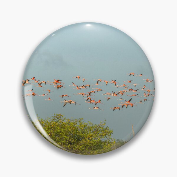Item preview, Flock of flamingoes designed and sold by Photopat.