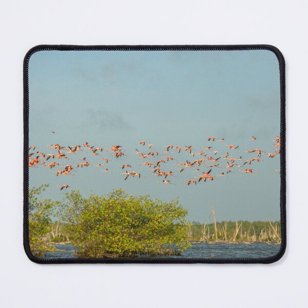 Item preview, Flock of flamingoes designed and sold by Photopat.