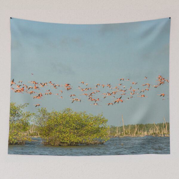 Item preview, Flock of flamingoes designed and sold by Photopat.