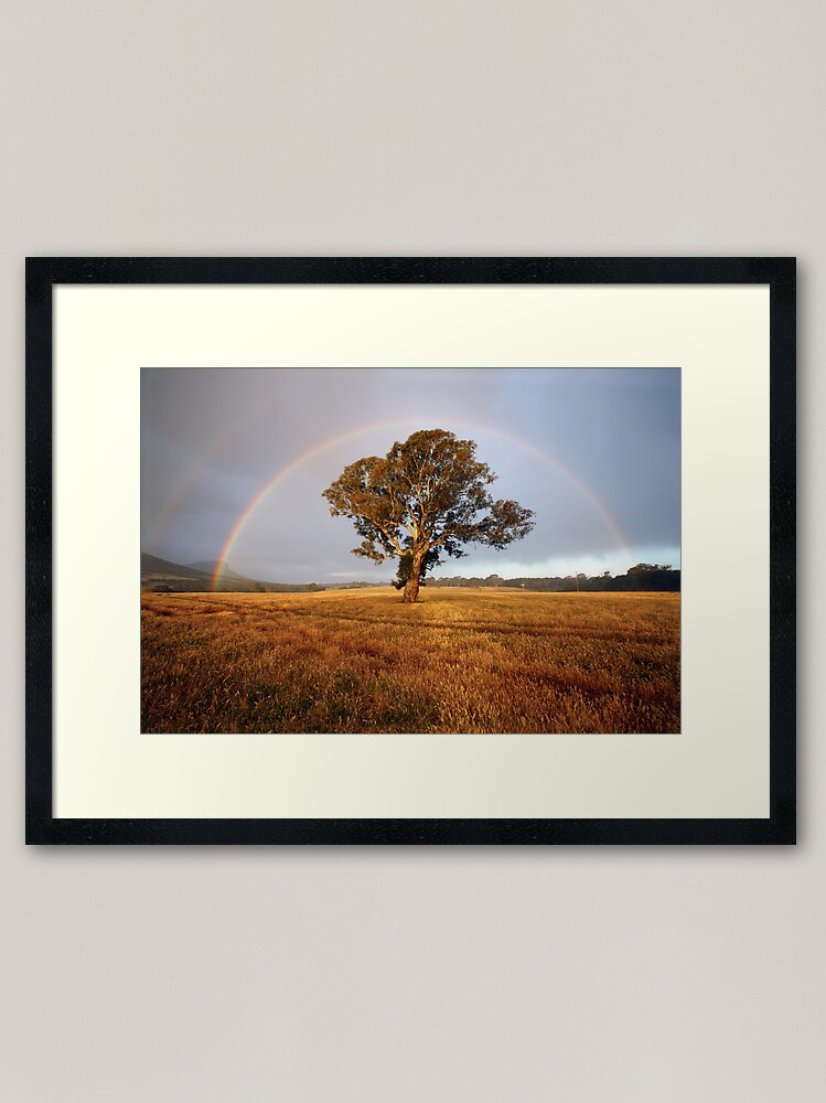 Framed Art Print, After the Rain, Dunkeld, Australia designed and sold by Michael Boniwell