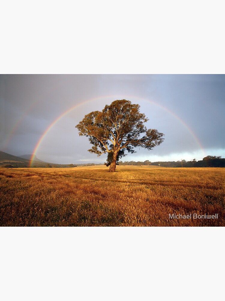 Thumbnail 7 of 7, Framed Art Print, After the Rain, Dunkeld, Australia designed and sold by Michael Boniwell.