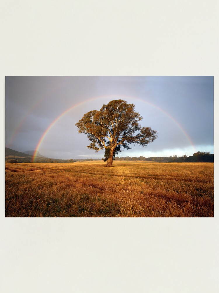 Photographic Print, After the Rain, Dunkeld, Australia designed and sold by Michael Boniwell