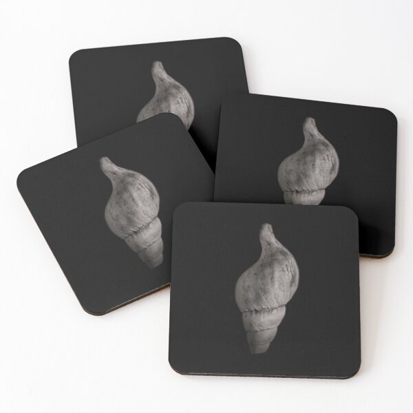 Item preview, Shells No 3 designed and sold by The Learning Curve Photography.