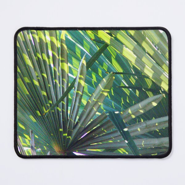 Item preview, palm leaves.  designed and sold by MadomiArt.