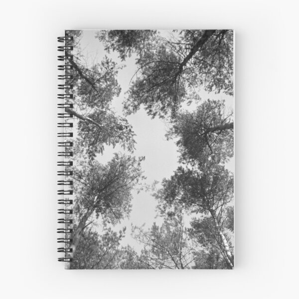 Item preview, Monochrome trees in grey forest analogue picture designed and sold by fotopan.