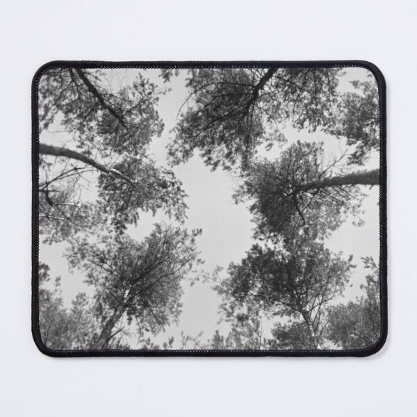Item preview, Monochrome trees in grey forest analogue picture designed and sold by fotopan.