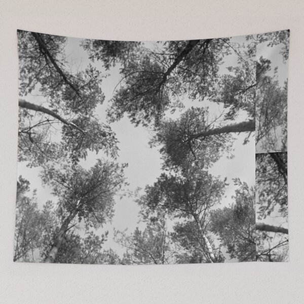 Item preview, Monochrome trees in grey forest analogue picture designed and sold by fotopan.