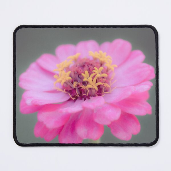 Item preview, Pink Zinnia Elegans designed and sold by Tanya C Smith.