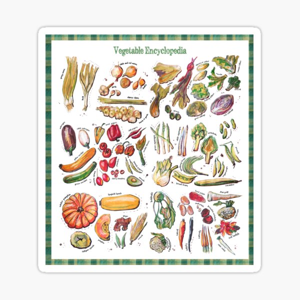 Vegetable Encyclopedia Sticker