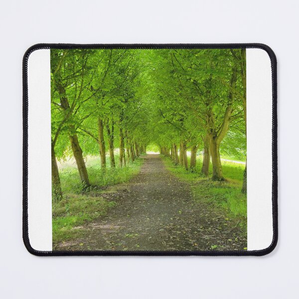 Item preview, Bright hallway of trees designed and sold by CholiBe.