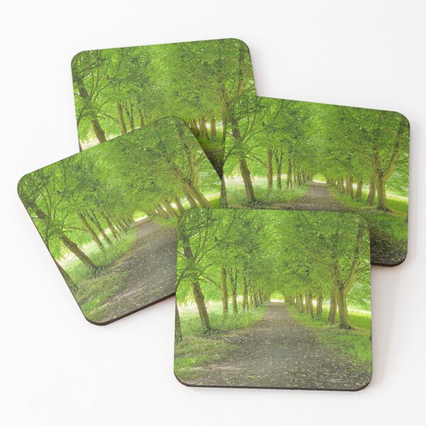 Item preview, Bright hallway of trees designed and sold by CholiBe.