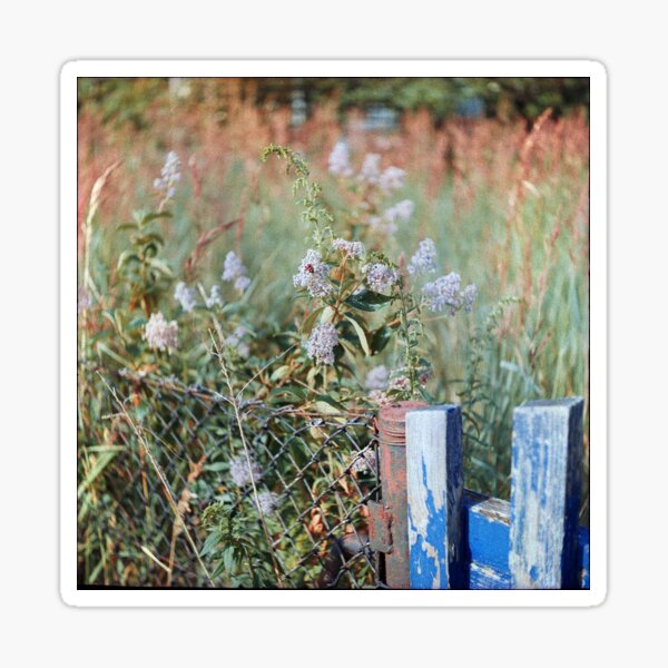 Item preview, symbiosis designed and sold by 5letters.