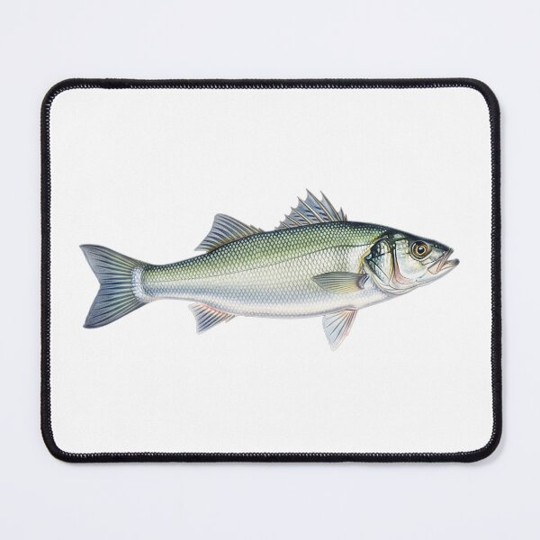 Item preview, Spotted bass designed and sold by 4rtistcDrift.