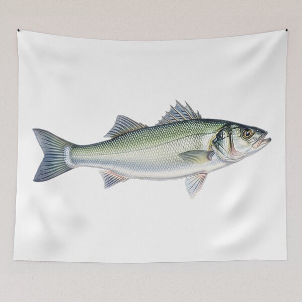 Item preview, Spotted bass designed and sold by 4rtistcDrift.