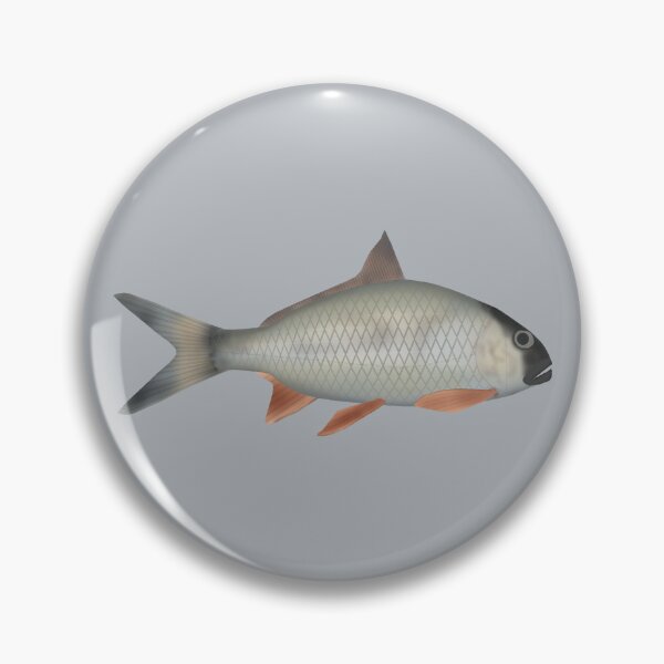 Item preview, Assamese Kingfish  designed and sold by fishfolkart.