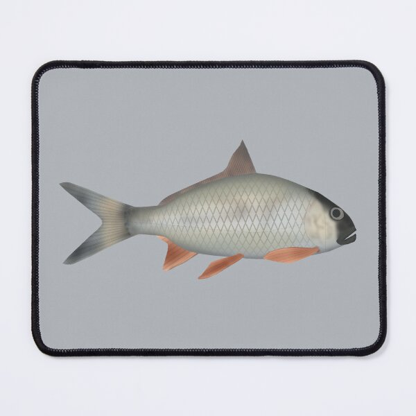 Item preview, Assamese Kingfish  designed and sold by fishfolkart.