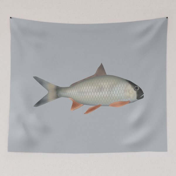 Item preview, Assamese Kingfish  designed and sold by fishfolkart.