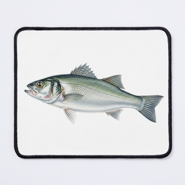 Item preview, spotted bass designed and sold by 4rtistcDrift.