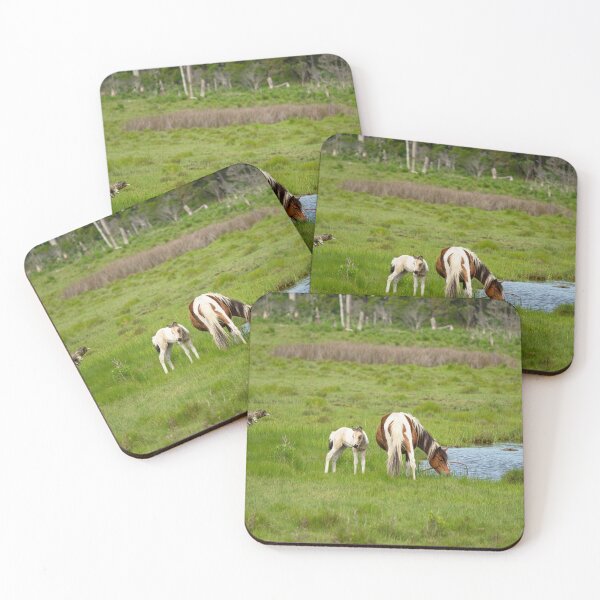 Item preview, Wild Pony Habitat designed and sold by ShorelineImages.
