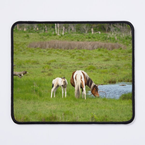 Item preview, Wild Pony Habitat designed and sold by ShorelineImages.