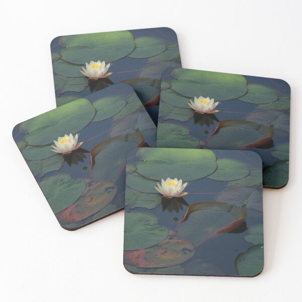 Item preview, Temple Garden Lotus designed and sold by Daniel Safer Photography.
