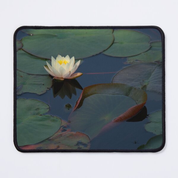 Item preview, Temple Garden Lotus designed and sold by Daniel Safer Photography.