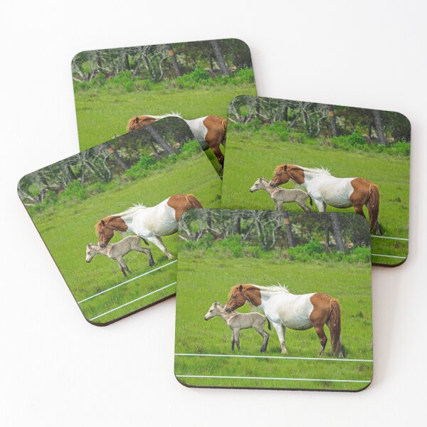 Item preview, Chincoteague Island Wild Mare and Foal designed and sold by ShorelineImages.