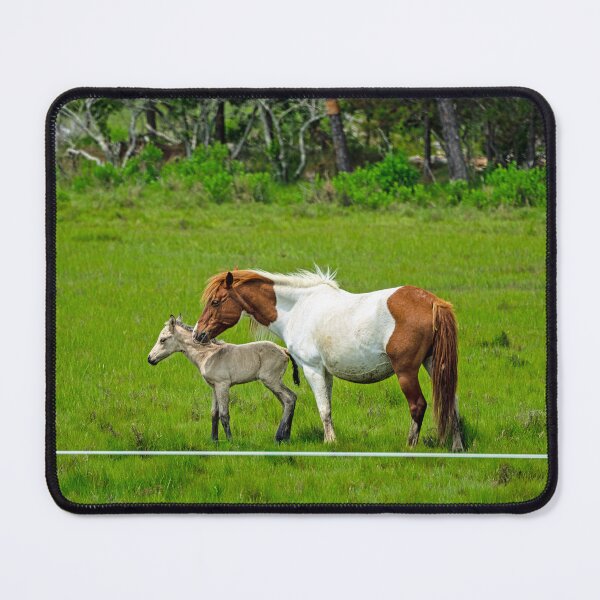 Item preview, Chincoteague Island Wild Mare and Foal designed and sold by ShorelineImages.