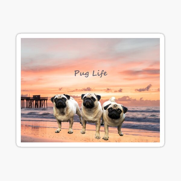 Item preview, Pug brothers on beach designed and sold by jcdesign1212.