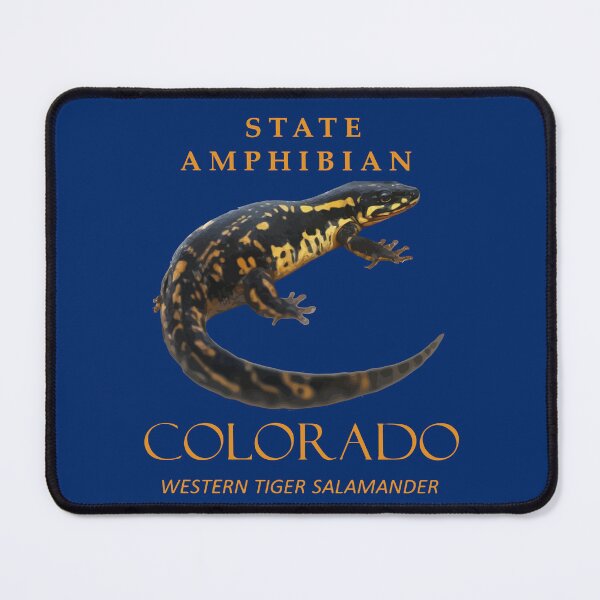 Item preview, Colorado Territory Amphibian The Western Tiger Salamander designed and sold by taiche.