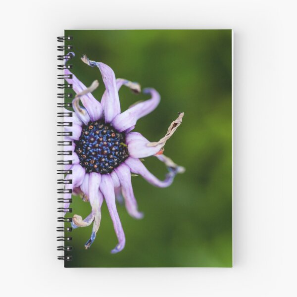 Item preview, Vintage ... designed and sold by Nina  Matthews Photography.