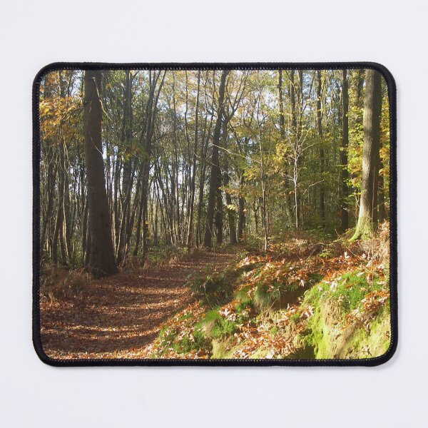 Item preview,  Autumn forest path designed and sold by CreaTwinkles.