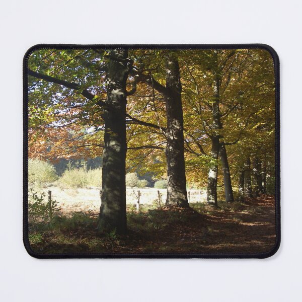 Item preview, Trees in Autumn designed and sold by CreaTwinkles.