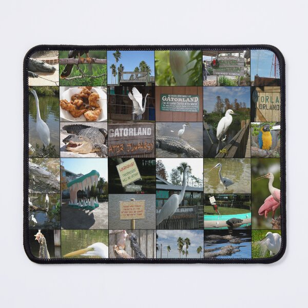 Item preview, Gatorland designed and sold by Montage-Madness.