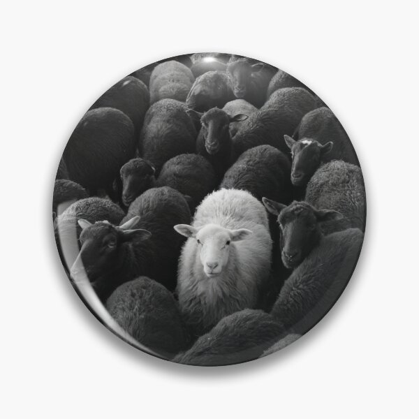 Item preview, Black sheep herding designed and sold by Javier Arizabalo Garcia.