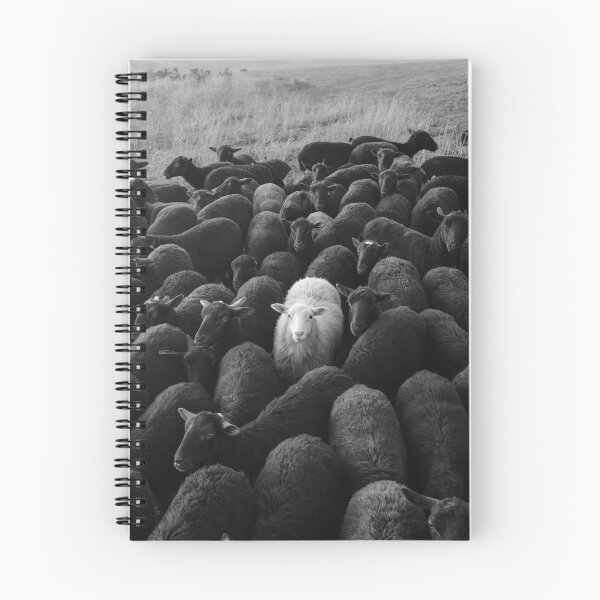 Item preview, Black sheep herding designed and sold by Javier Arizabalo Garcia.