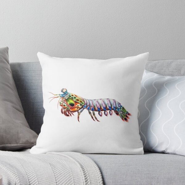 Item preview, Peacock Mantis Shrimp designed and sold by 4rtistcDrift.