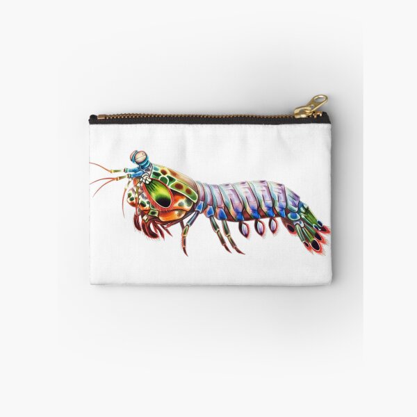 Item preview, Peacock Mantis Shrimp designed and sold by 4rtistcDrift.