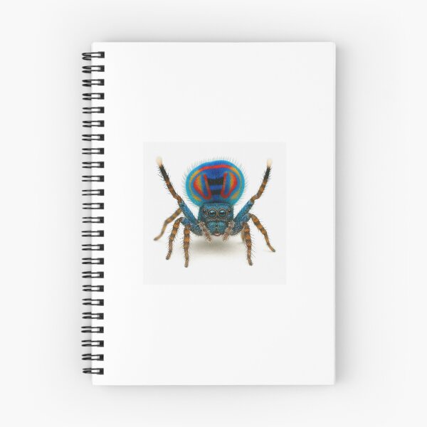 Item preview, Colorful Peacock Spider — Nature’s Tiny Dancer designed and sold by Liqidos39.