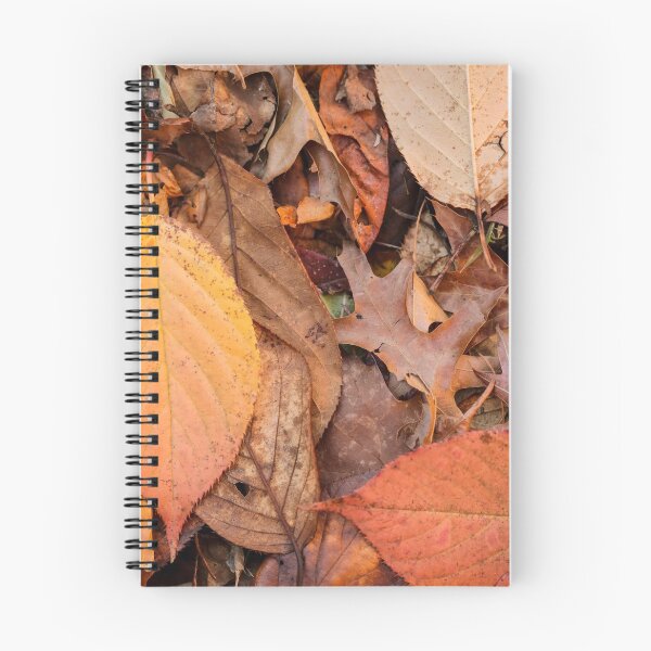 Item preview, Lots of leaves  designed and sold by Nina  Matthews Photography.
