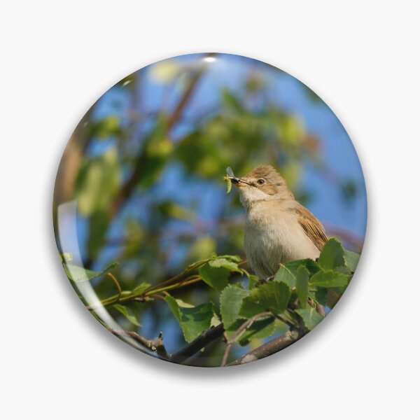 Item preview, Eat your greens too. Whitethroat designed and sold by Jouko Lehto Photography.