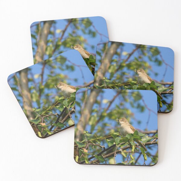 Item preview, Eat your greens too. Whitethroat designed and sold by Jouko Lehto Photography.