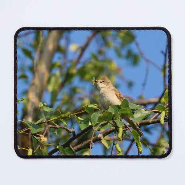Item preview, Eat your greens too. Whitethroat designed and sold by Jouko Lehto Photography.