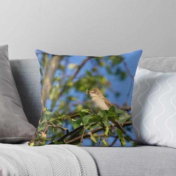 Item preview, Eat your greens too. Whitethroat designed and sold by Jouko Lehto Photography.
