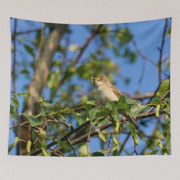 Item preview, Eat your greens too. Whitethroat designed and sold by Jouko Lehto Photography.