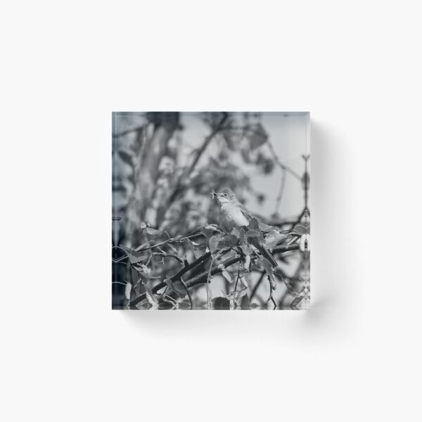 Item preview, Eat your greens too. Whitethroat bw designed and sold by Jouko Lehto Photography.