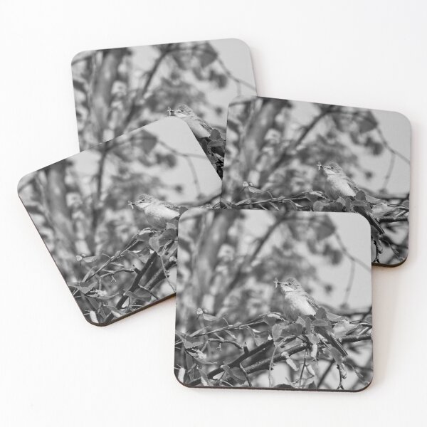 Item preview, Eat your greens too. Whitethroat bw designed and sold by Jouko Lehto Photography.