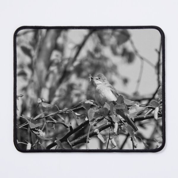Item preview, Eat your greens too. Whitethroat bw designed and sold by Jouko Lehto Photography.