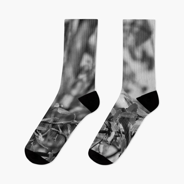 Item preview, Eat your greens too. Whitethroat bw designed and sold by Jouko Lehto Photography.
